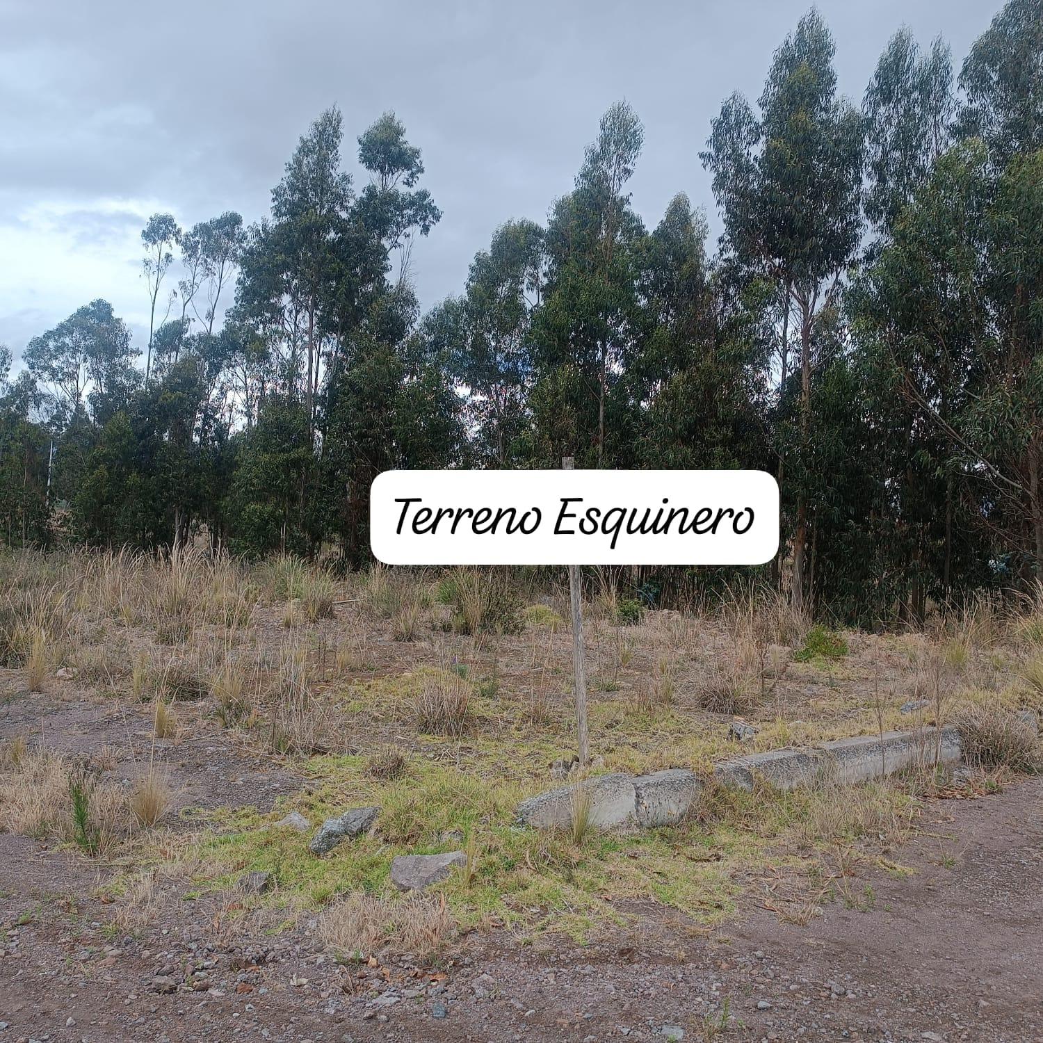TERRENO EN VENTA
