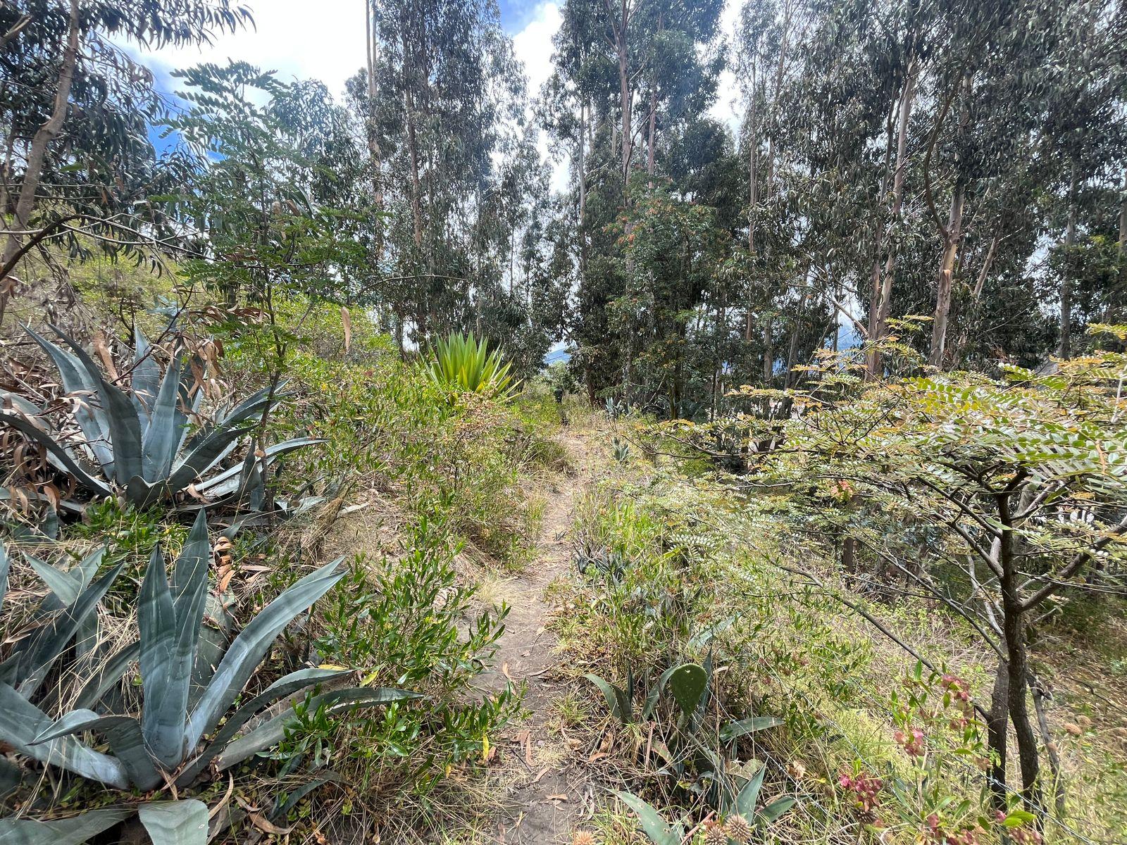 TERRENO EN VENTA- Santa Teresita