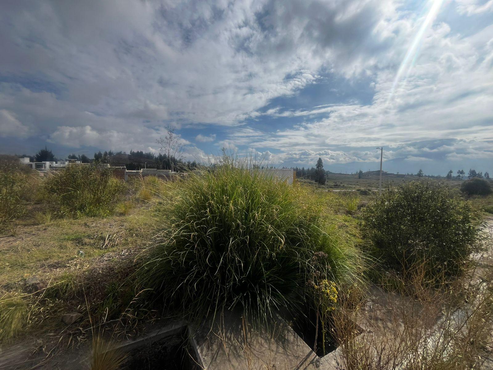 TERRENO EN VENTA