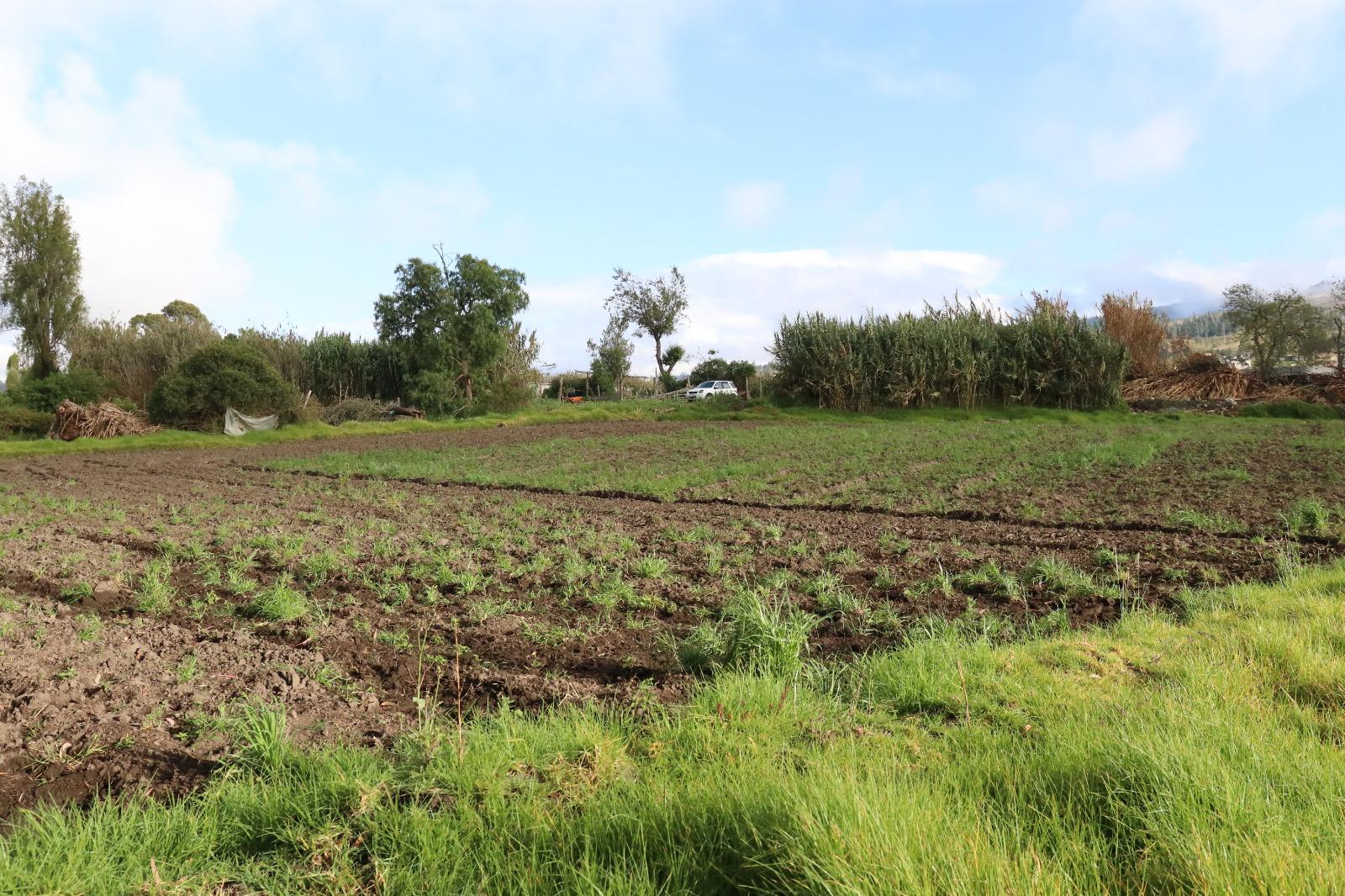Venta Terreno en Guano