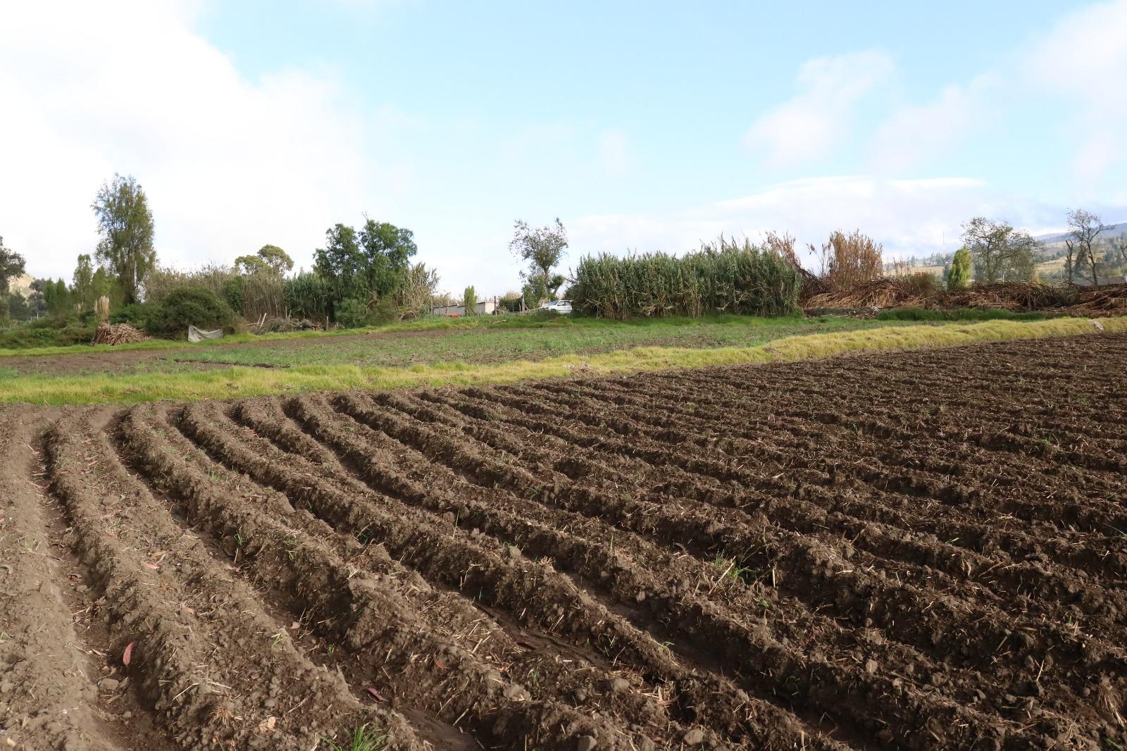 Venta Terreno en Guano