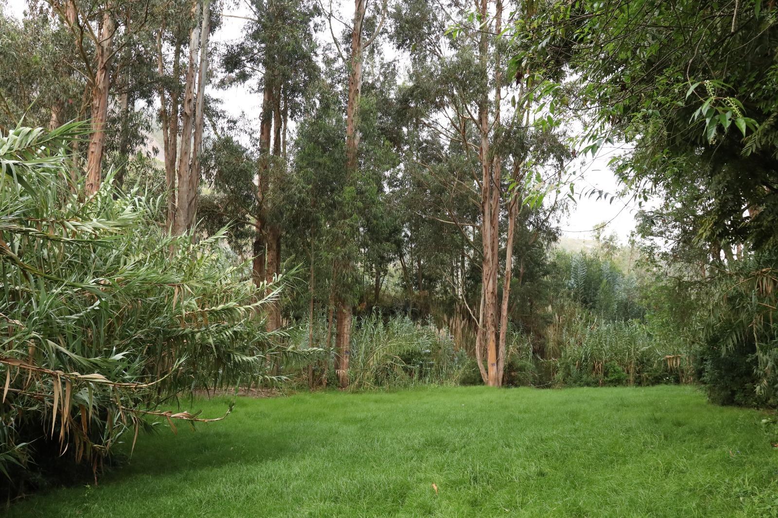 Venta Terreno en Guano