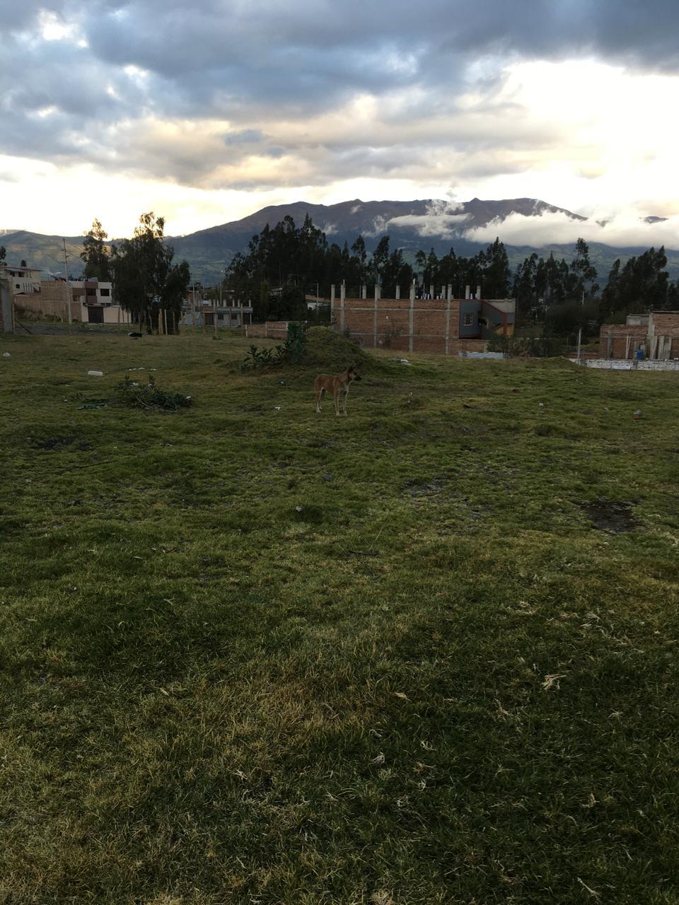 TERRENO EN VENTA