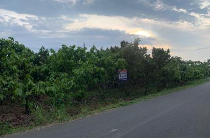 TERRENO EN VENTA