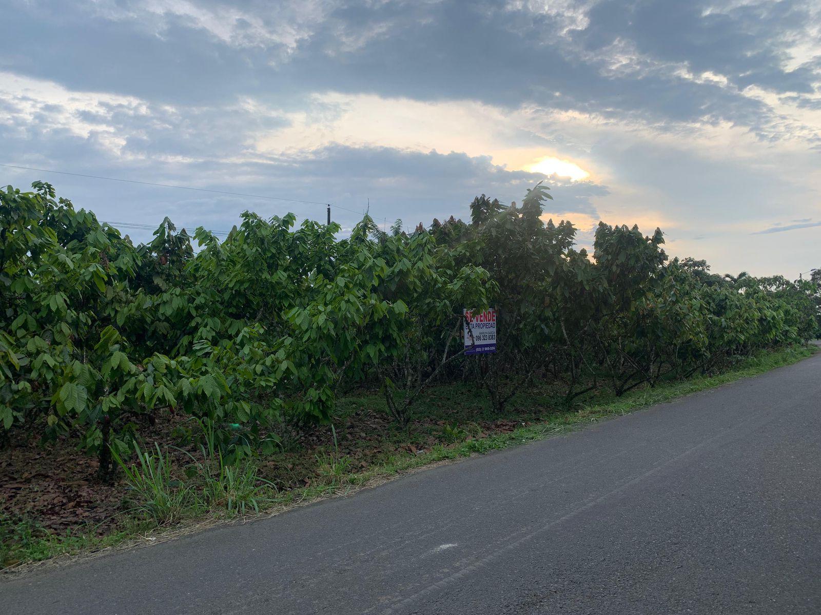 TERRENO EN VENTA
