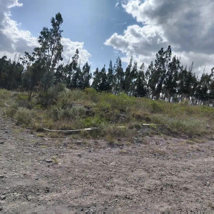 TERRENO EN VENTA