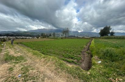 TERRENO AGRÍCOLA EN VENTA